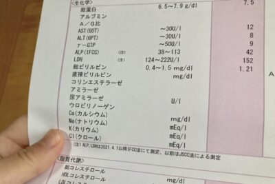 【専門医が解説】あなたの脂肪肝はどのレベル？ エコー検査でわかる重症度の見分け方のアイキャッチ画像