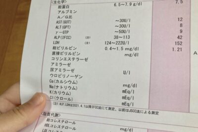 Elevated Liver Numbers: Could Stress Be the Cause? The Mechanism Behind Rising AST/ALT and How to Improve Themのアイキャッチ画像