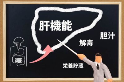 肝機能障害とは?肝臓の役割と障害の種類を基本から徹底解説!のアイキャッチ画像