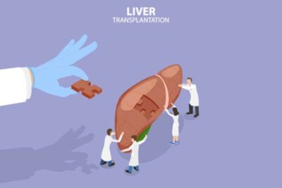 臓器移植の厳しい現実と、幹細胞による肝臓再生医療が拓く新たな希望のアイキャッチ画像